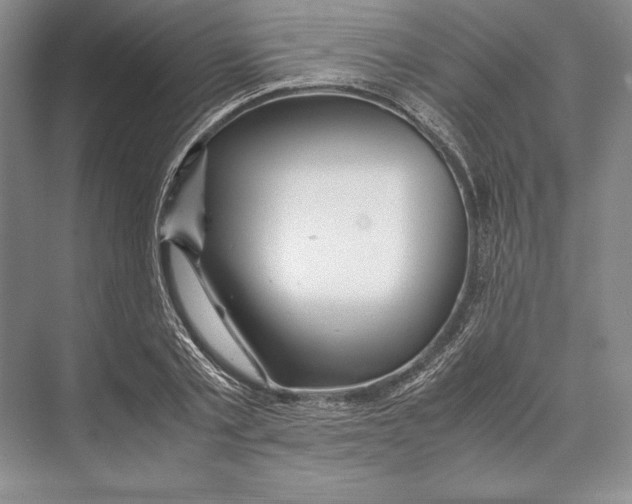 X0000072520789200608111719