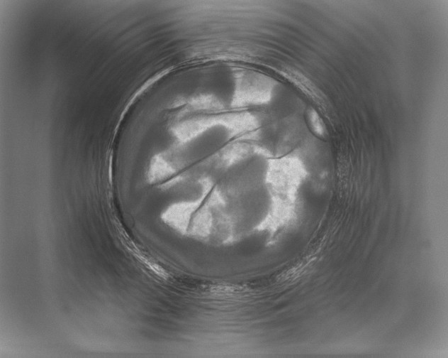 X0000072520790200608111719