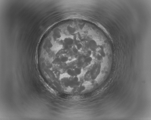 X0000072520791200608111719