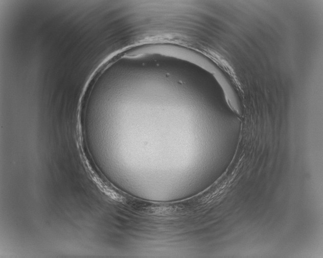 X0000072520792200608111719