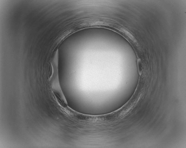 X0000072520793200608111719