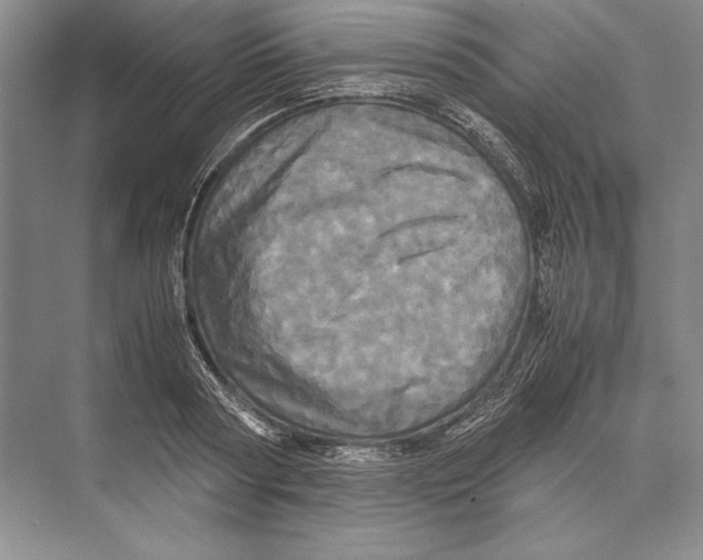 X0000072520794200608111719