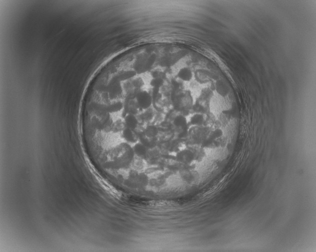 X0000072520795200608111719