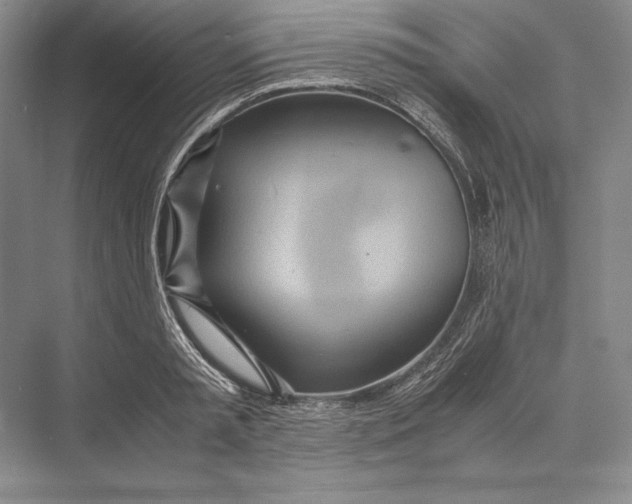 X0000072520797200608111719