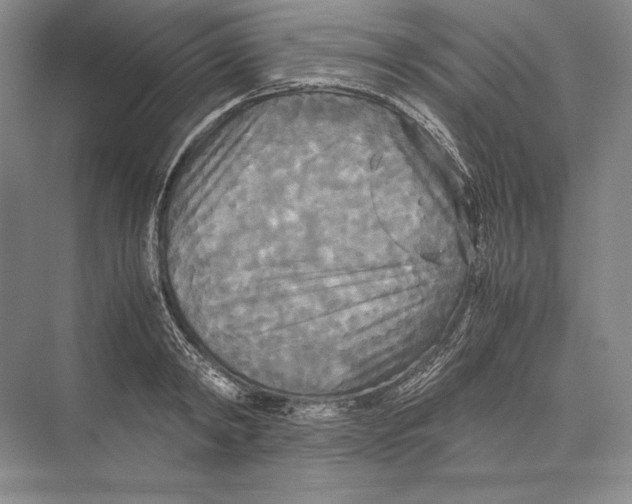 X0000072520798200608111719