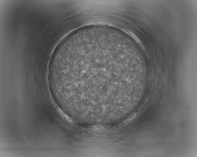 X0000072520799200608111719