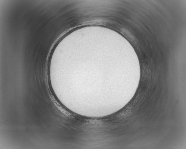 X0000072520800200608111719