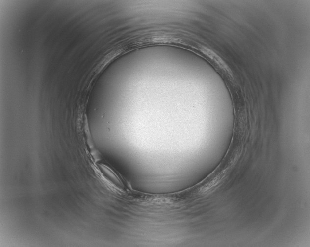 X0000072520801200608111719