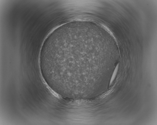 X0000072520803200608111719