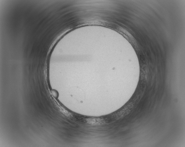 X0000072520804200608111719