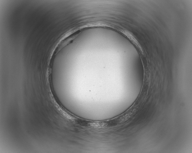 X0000072520805200608111719