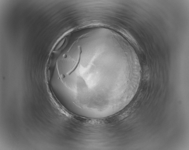 X0000072520806200608111718