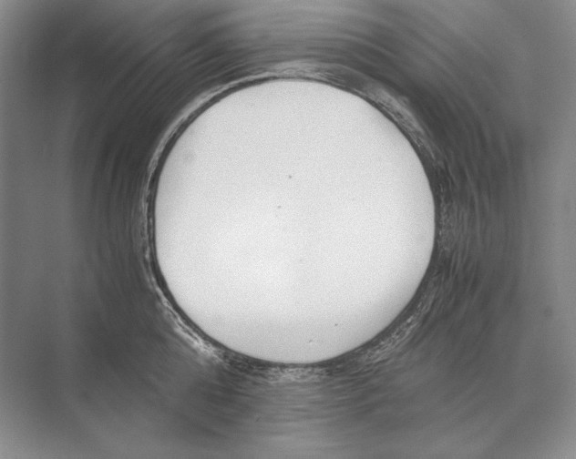 X0000072520808200608111718