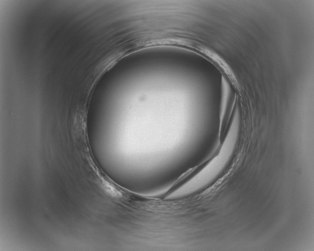 X0000072520809200608111718