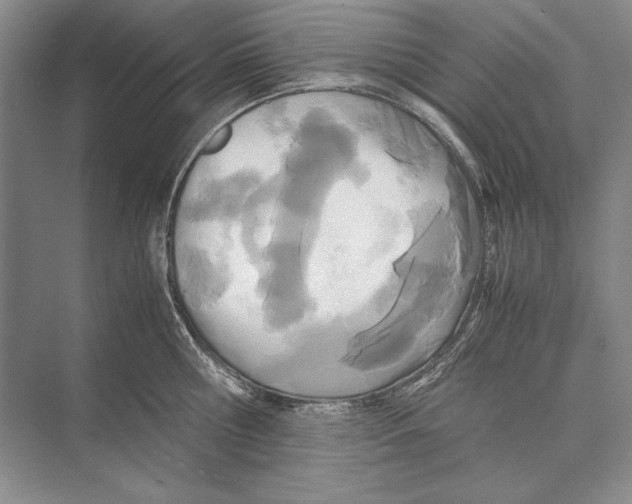 X0000072520810200608111718