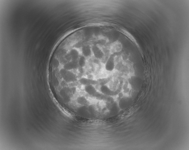 X0000072520811200608111718