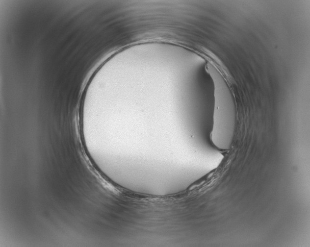 X0000072520812200608111718