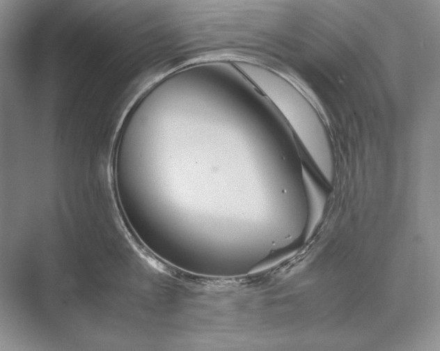 X0000072520813200608111718