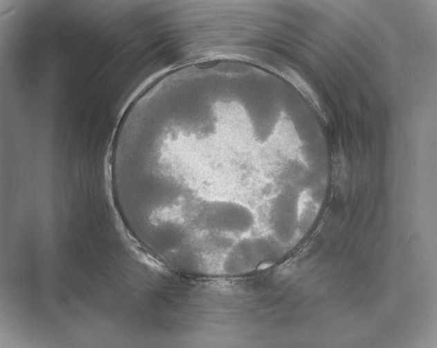 X0000072520814200608111718