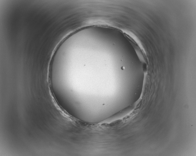 X0000072520815200608111718