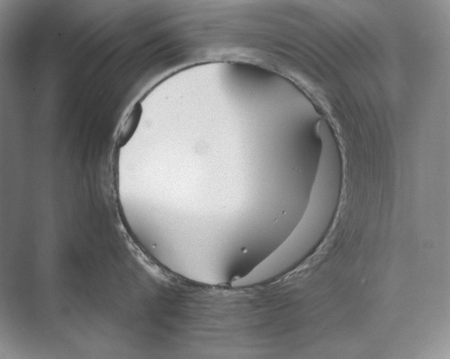 X0000072520816200608111718