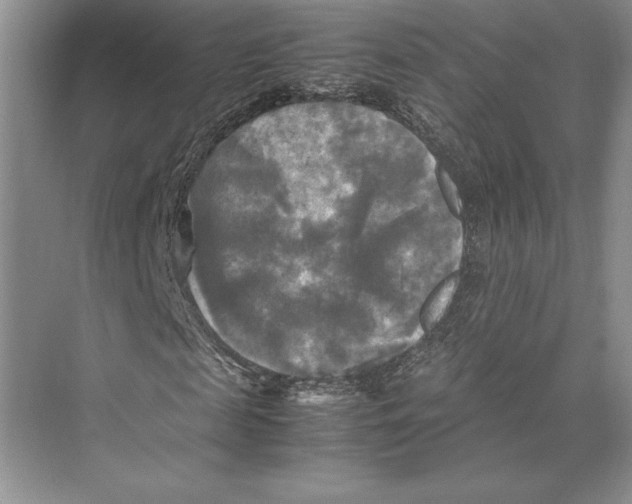 X0000072520817200608111718