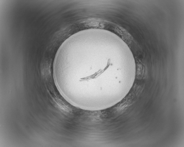 X0000072520820200608111718