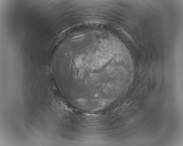 X0000072520821200608111718