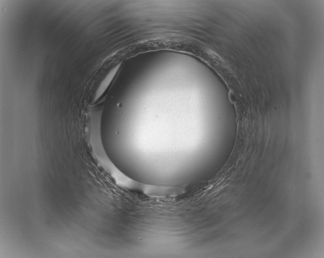 X0000072520822200608111718