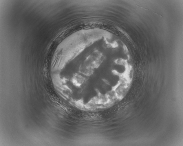 X0000072520823200608111718