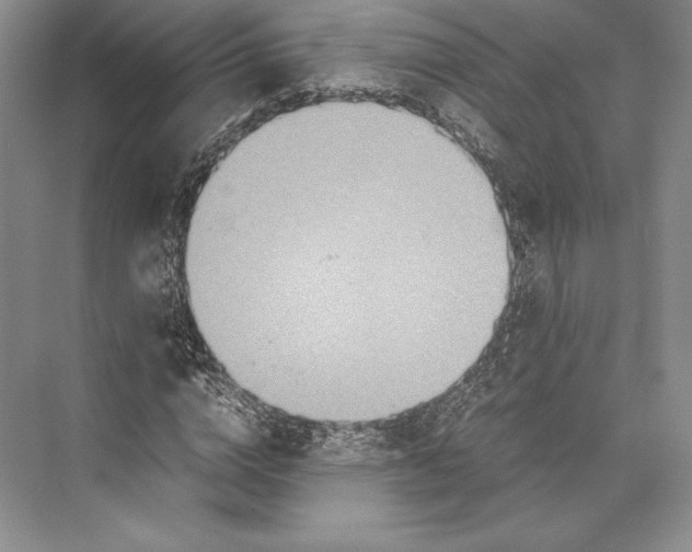 X0000072520824200608111718