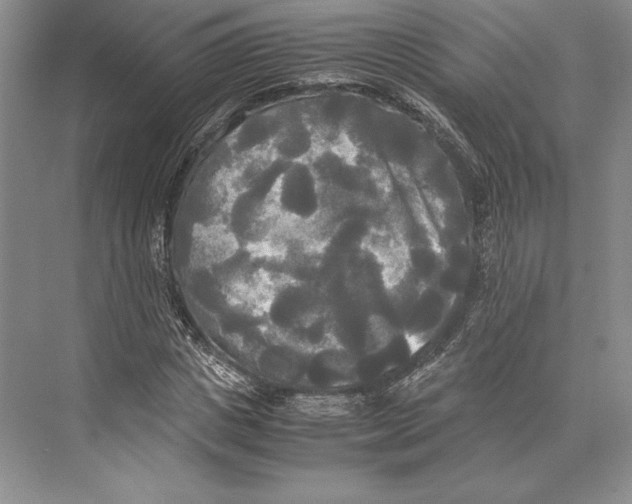 X0000072520825200608111718