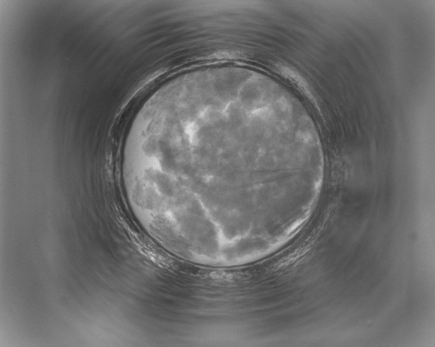 X0000072520827200608111718