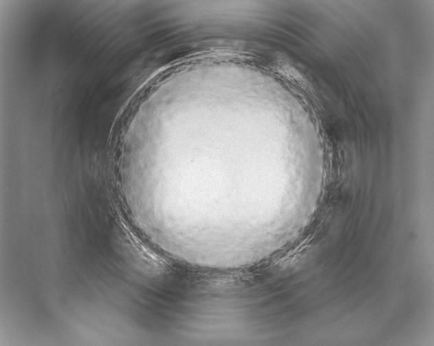 X0000072520828200608111718