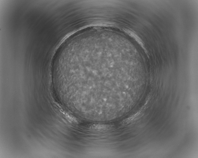 X0000072520829200608111718