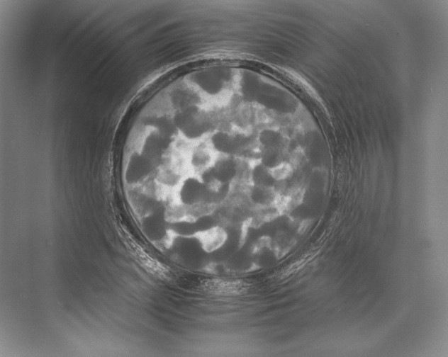 X0000072520831200608111718