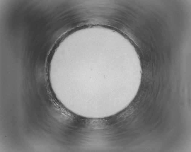 X0000072520832200608111718