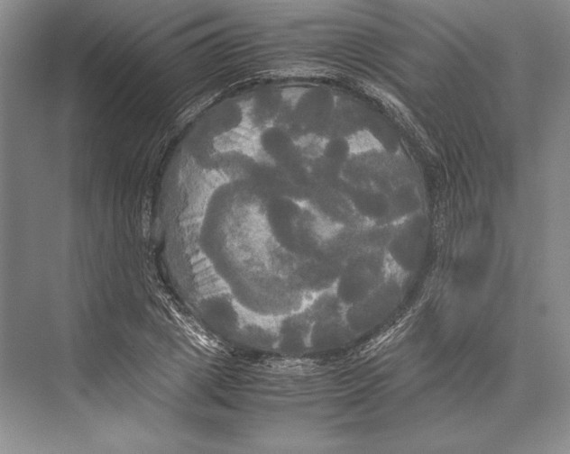 X0000072520833200608111718