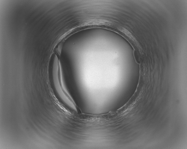 X0000072520834200608111718