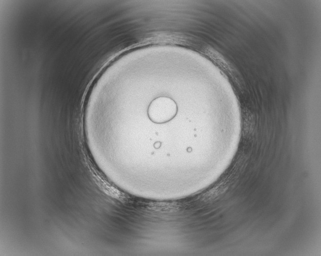 X0000072520836200608111718