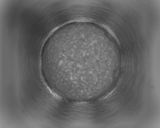 X0000072520837200608111718