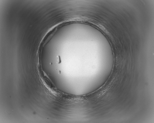 X0000072520838200608111718