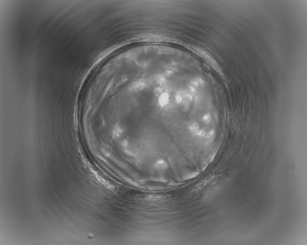 X0000072520839200608111718