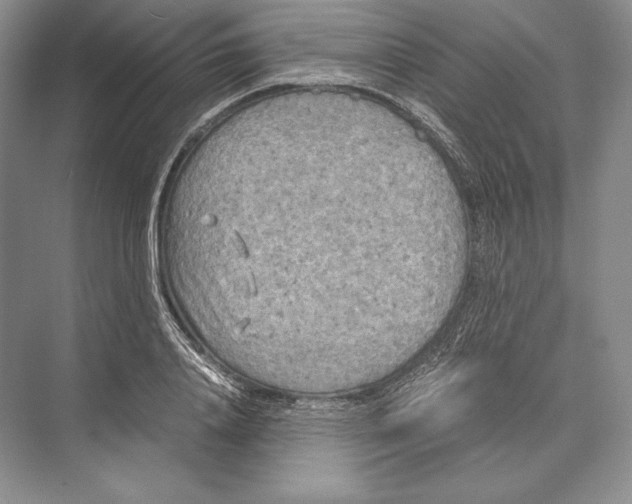 X0000072520840200608111718