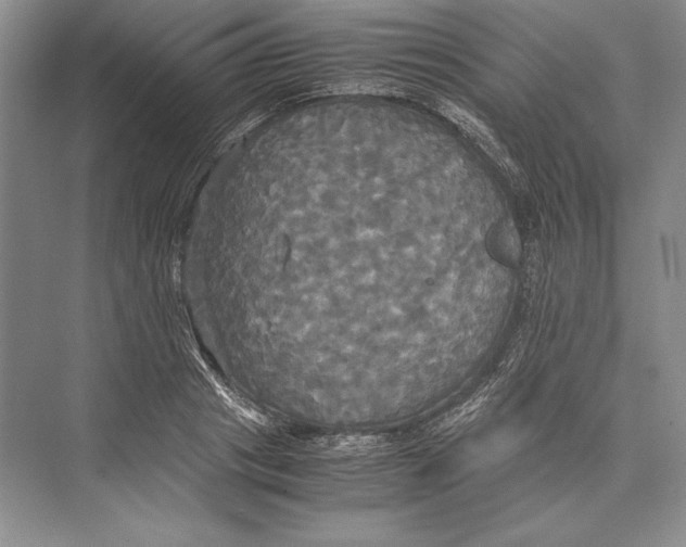 X0000072520841200608111718