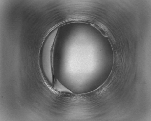 X0000072520842200608111718