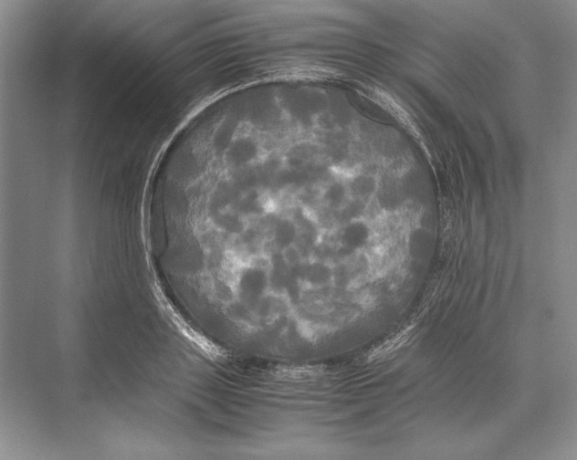 X0000072520843200608111718