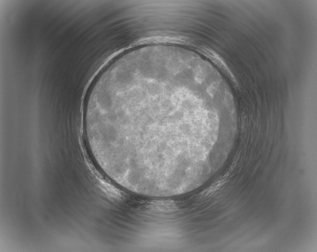 X0000072520844200608111718