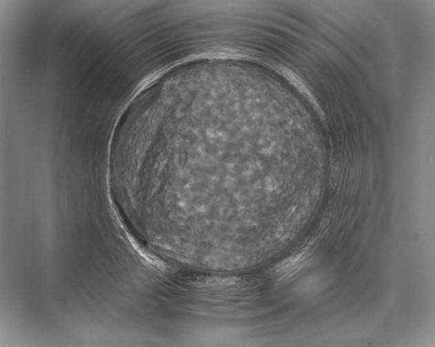 X0000072520845200608111718