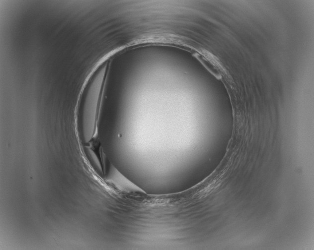 X0000072520846200608111718